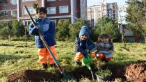 Yılın Son Ağaç Dikimini Anaokulu Öğrencileri Yaptı