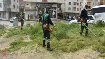 Pendik Parkları ve Ortak Alanlarda Bakım Çalışmaları Sürüyor...